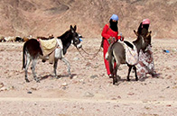 zdjęcie jordania petra